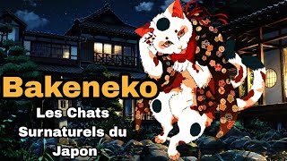 Bakeneko, Les Chats Surnaturels du Japon (Mythologie Japonaise)