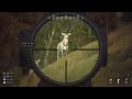 5 Star Albino Red Deer Transylvania | Way of the Hunter