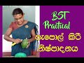 BST Practical | Extraction of papain from Papaya Fruit