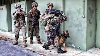 French Army Soldiers & U.S. Marines • Urban Attack Scenario
