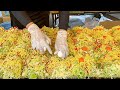 japanese street food - master chef make lot of okonomiyaki at once お好み焼き