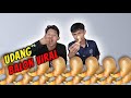 UDANG BALON VIRAL