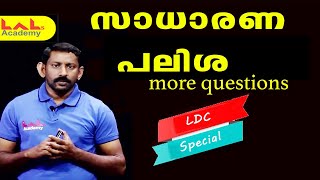 Maths | simple Interest | More Questions | LDC | Lal's Academy