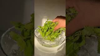 mint lemon.. Adipoli taste  #shortvideo #shortsyoutube #shorts