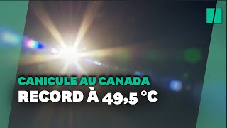 En pleine canicule au Canada, des dizaines de \