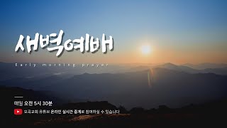 오곡감리교회 새벽예배 2024.09.29