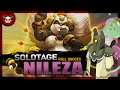 SOLOTAGE Pandawa | NILEZA Full succès | Dofus