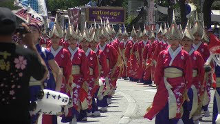 十人十彩 高知よさこい祭り2018