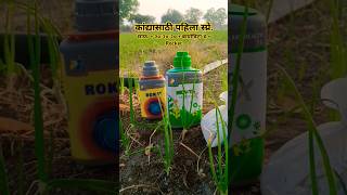 ऊन्हाळी कांदा नियोजन...🌱🌾💚#farming #status #shorts #trending #video #new