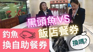 釣客的日常 | 小姐姐想用自己釣的黑頭魚，換飯店的自助餐券，能成功嗎？