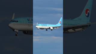 Korean Air Boeing 737-9B5ER landing in Incheon 대한항공 보잉 B737 인천공항 착륙 HL8221 ICN / RKSI @koreanair