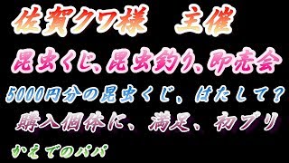 （カブト+クワガタ飼育）佐賀クワ様、出店イベントに行ってきました。昆虫くじ、昆虫釣り、レアで可愛い個体など、購入させて頂きました。