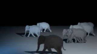 2006 partial effect to generate multiple elements from one simple short animation