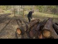 debarking logs