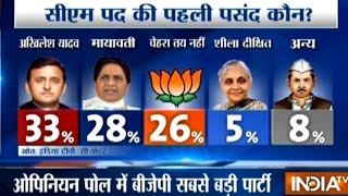 IndiaTV C-Voter Opinion Poll Survey Ahead of Uttar Pradesh Assembly Elections