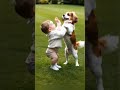 cute baby and dog ❤️