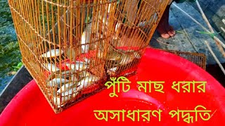 বন্যার পানিতে ছোট ঘুনি দিয়ে নানা রকমের ছোট মাছ ধরা। Best Fish videi।Amazing Fishing video।Fish BD