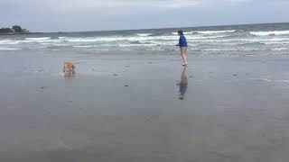 Kennebunk Maine, Goochs Beach
