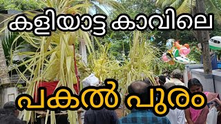 കളിയാട്ടകാവ് പകൽപൂരം|Kaliyatta Kavu Pakalpooram (2022)