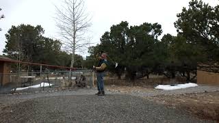Hammerhead Shark Swing Test - String Attached to Top