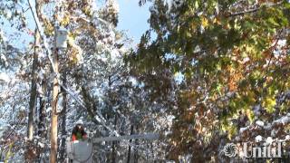 Unitil 10/30/2011 Snowstorm - Rough Footage