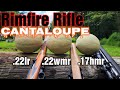 CANTALOUPES vs .22LR .22WMR .17HMR RIFLES