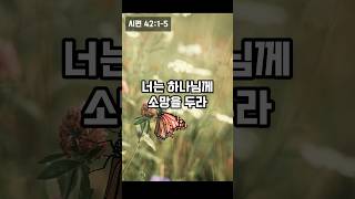 하루 한절 말씀, 너는 하나님께 소망을 두라ㅣ성경듣기ㅣ듣는성경ㅣ성경읽기ㅣ읽어주는성경ㅣ성경낭독