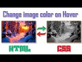 Change Image Color on Hover Using Html & Css