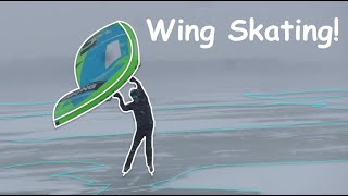 Wing Skating on Frozen Lake!