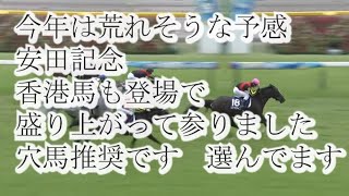 安田記念2024　競馬予想　この動画を見たら当たるかもよ？　穴馬推奨　4頭選んだよ