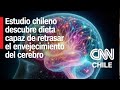 Expertos chilenos descubren dieta capaz de retrasar el envejecimiento del cerebro: ¿En qué consiste?