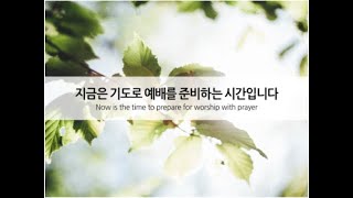 안산광문교회_ 주일오전예배_250105