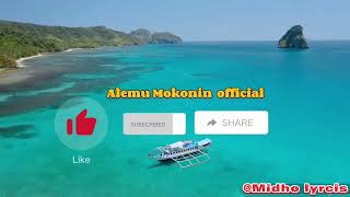 AMANSIISAA;Alemu mokonin official