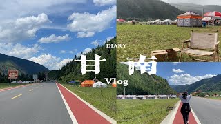 VLOG｜甘南的夏天｜自驾游露营地｜满眼的绿色｜住在风景里