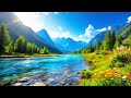 gentle river ambience for deep meditation and sleep calm water flow for study for healing