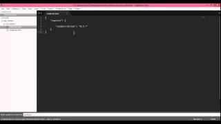 Ratchet web sockets for php installation, composer