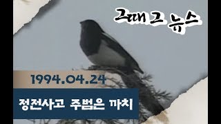 정전사고 주범은 까치