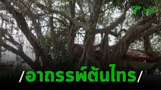 ผวาอาถรรพ์ต้นไทรในวัดตายปริศนา6ศพ | 15-01-63 | ข่าวเช้าหัวเขียว