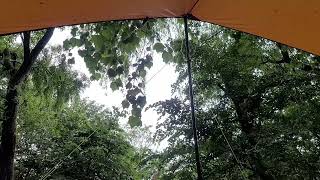 Rainy day camping, rain sound ,10 hours (sound of nature, sleep, insomnia, white noise, meditation)