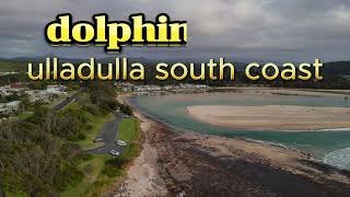 dolphin point Ulladulla