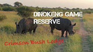 Dinokeng Game Reserve