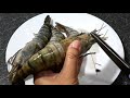 how to clean large prawn how to clean indian jumbo river prawns cleaning of bagda golda chingri