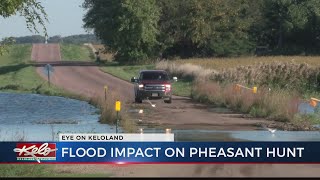 PREVIEW: Flood impact on pheasant hunting