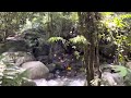 sungai kedondong batang kali selangor malaysia🇲🇾 4k virtual walking . 1