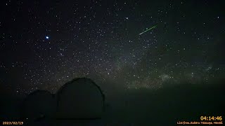 ハワイ・マウナケア星空ライブカメラ 2023年2月19日UTの流星ダイジェスト/Meteors over Maunakea, Hawaii,  19 Feb 2023 UT