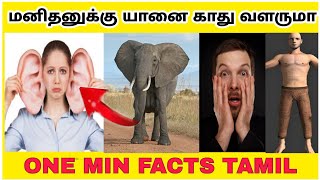 மனிதனுக்கு யானை காது வளருமா 🤔 One Min Facts Tamil