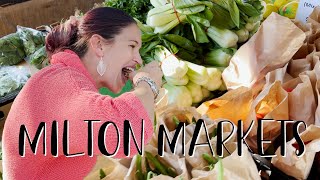 Exploring Milton Sunday Markets | Things To Do Brisbane | by SeAnn