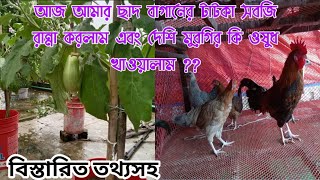 আমার ছাদ বাগানের টাটকা সবজি রান্না করলাম এবং দেশি মুরগির কি ওষুধ খাওয়ালাম ? বিস্তারিত ভিডিও দেখুন