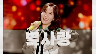 [싱어넷] 2025 국제라이온스협회 354-D지구 신년 자선음악회(+)SPOT(+)윤경화의 쇼가요중심