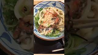 【丸亀製麺】明太とろろぶっかけ並 #食べてみた #癒しのグルメ #うどん #shorts